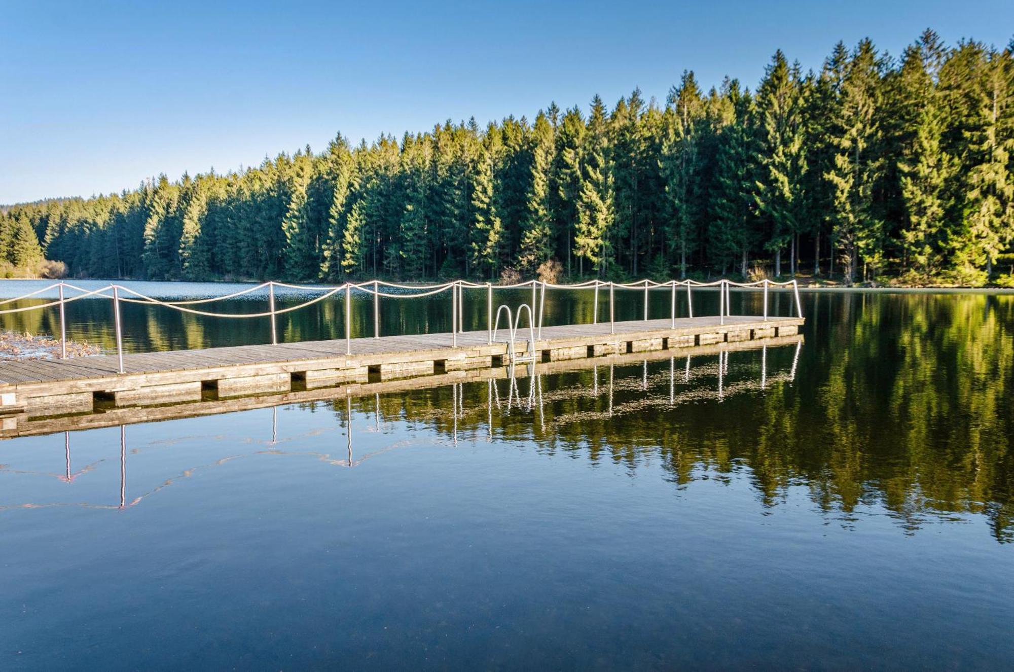 Ferienhaus Windmuehlenweg Mit Garten Spenge المظهر الخارجي الصورة